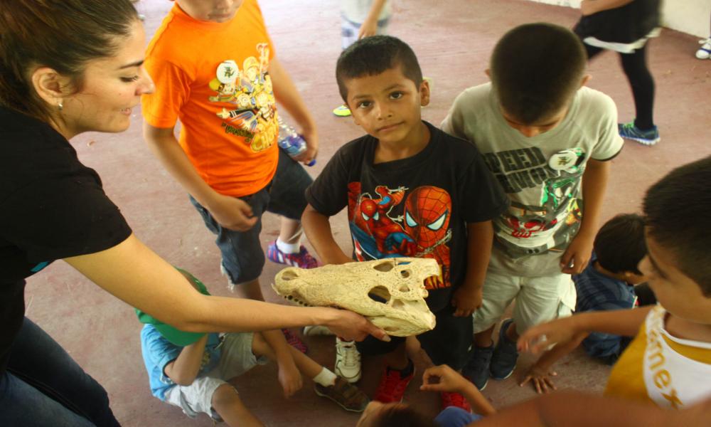 Arranca edición 2015 de los Cursos de Verano en CUCosta