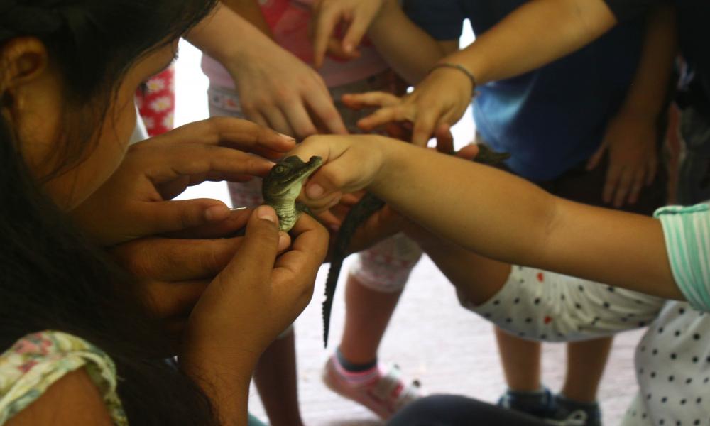 Arranca edición 2015 de los Cursos de Verano en CUCosta