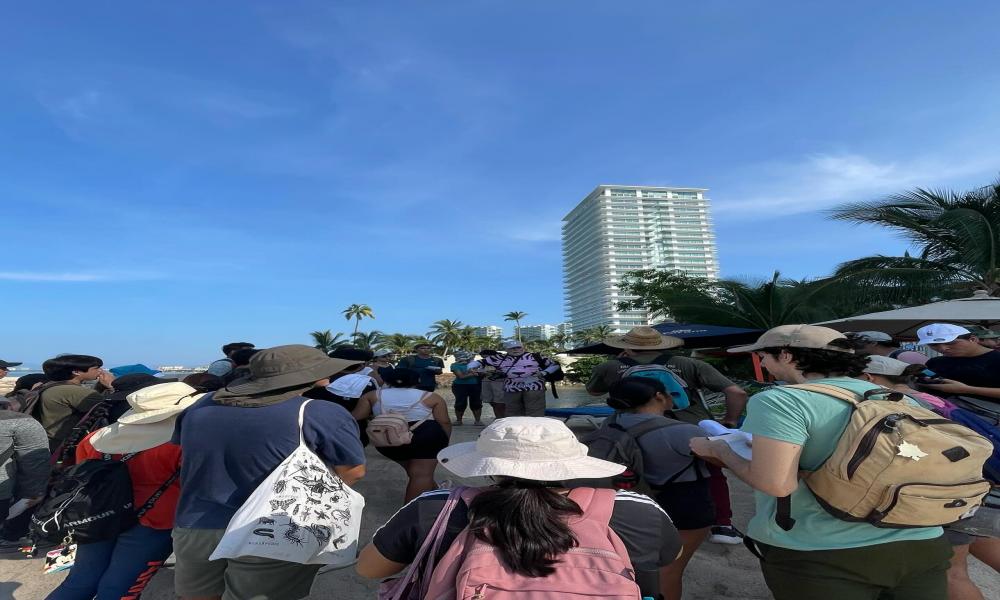 Registran con fotografías la diversidad biológica en río Pitillal