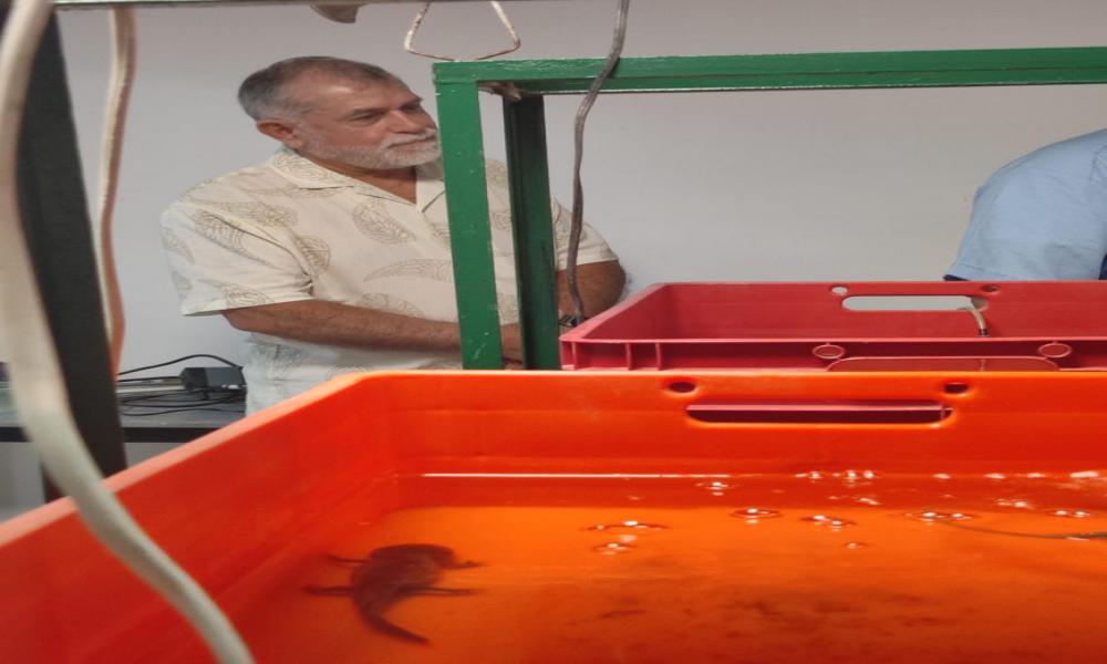 Tras visitar laboratorios, empresarios presentarán propuestas de inversión al CUCosta