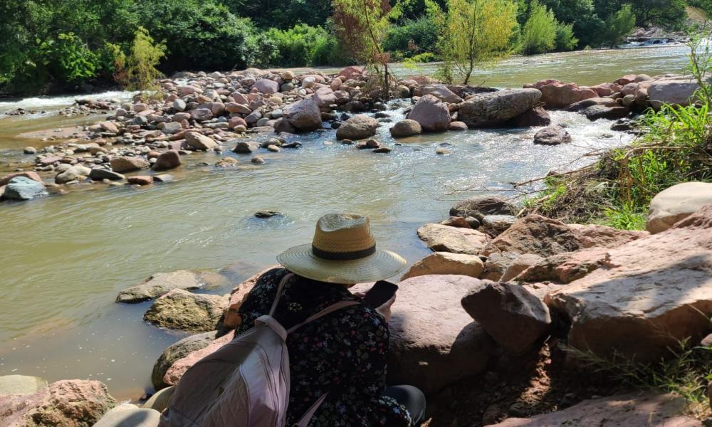 Registran con fotografías la diversidad biológica en río Pitillal