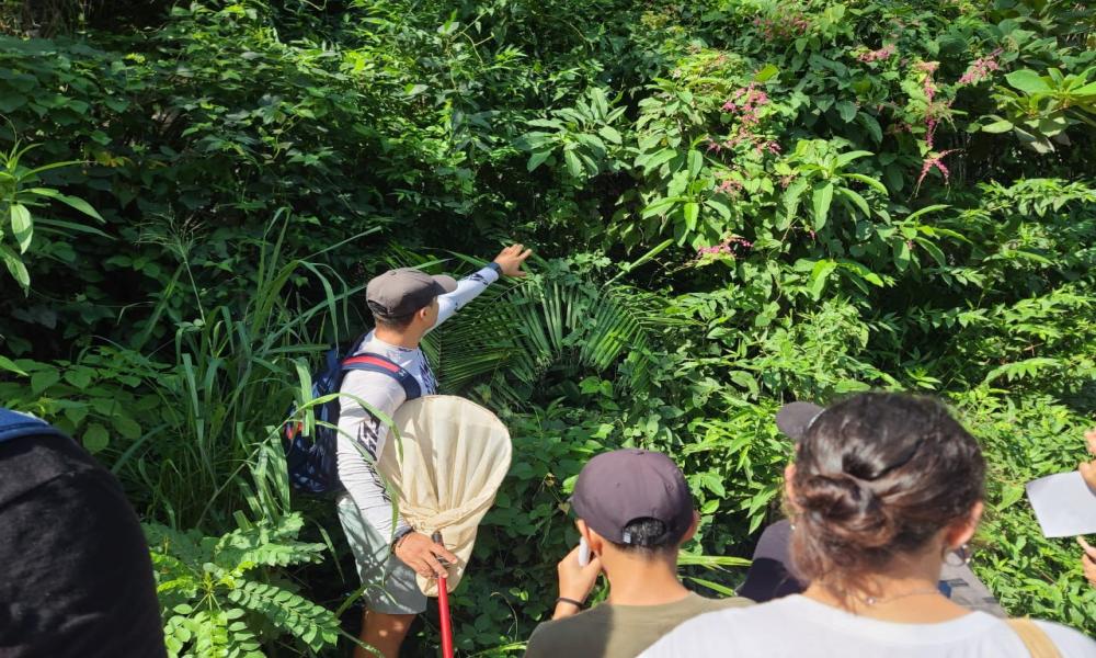 Registran con fotografías la diversidad biológica en río Pitillal