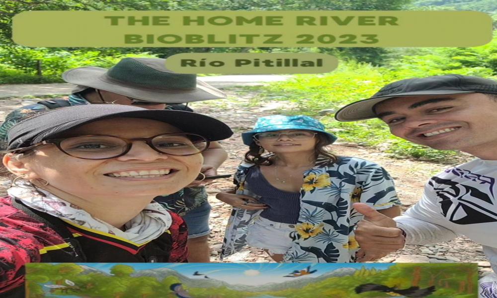 Registran con fotografías la diversidad biológica en río Pitillal