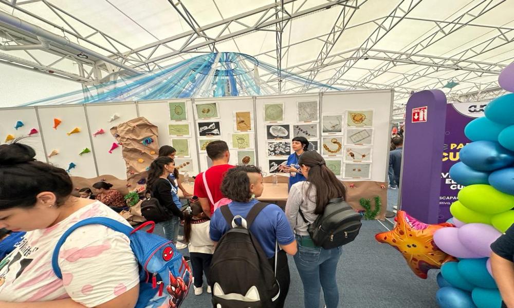 ¡CUCosta presente en Papirolas 2023!