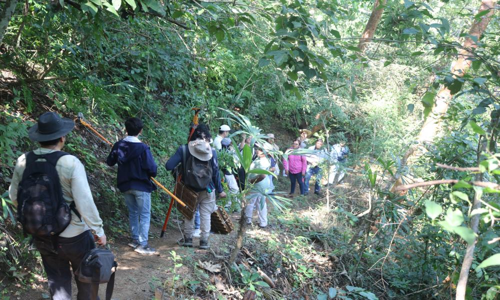Herbario PV del Centro Universitario de la Costa: apoyo a la docencia y educación ambiental en la región de Bahía de Banderas, Jalisco-Nayarit