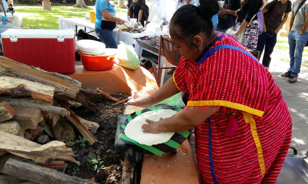 Las raíces indígenas de México se apropian del CUCosta