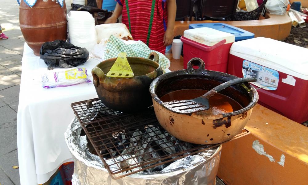 Las raíces indígenas de México se apropian del CUCosta