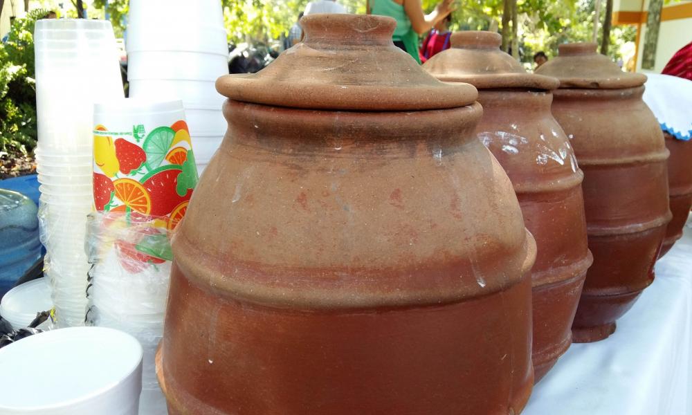 Las raíces indígenas de México se apropian del CUCosta