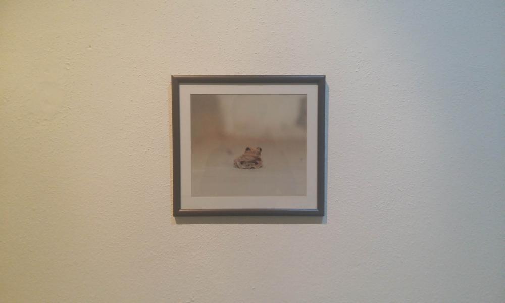 Talento artístico de CUCosta sigue creciendo