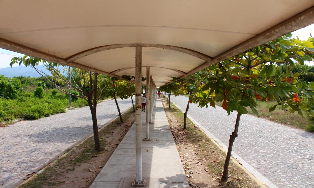 Proponen intervenir con arte espacios públicos del CUCosta