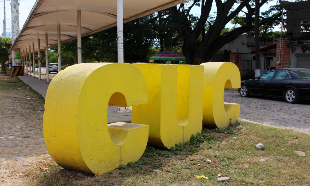 Proponen intervenir con arte espacios públicos del CUCosta