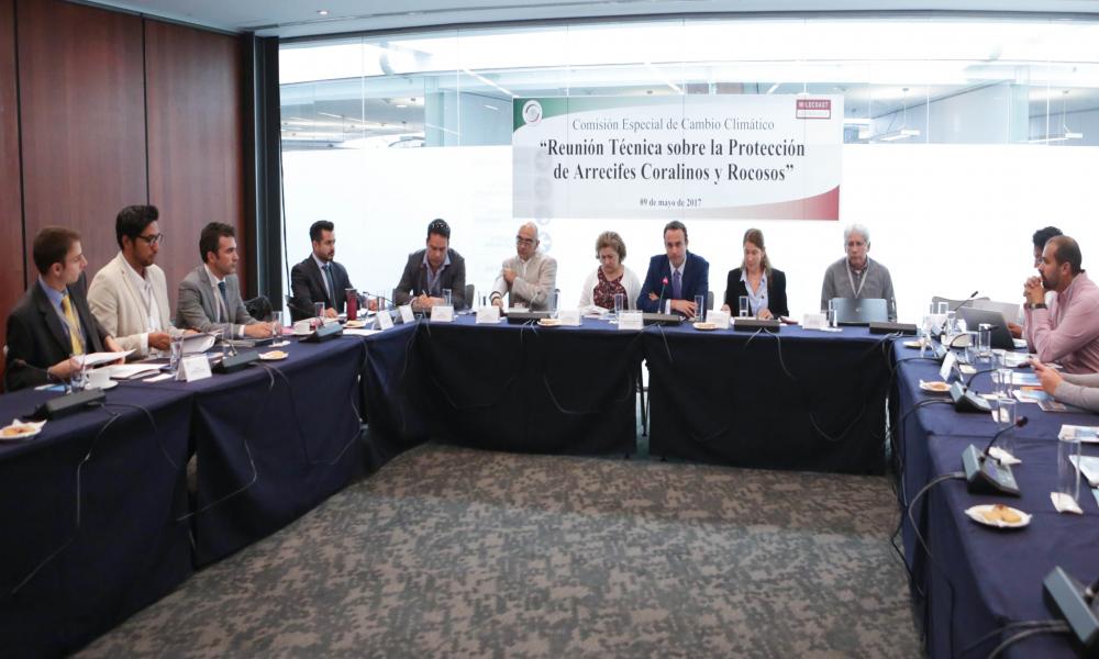 Científicos urgen al Senado marco legal para proteger arrecifes de coral