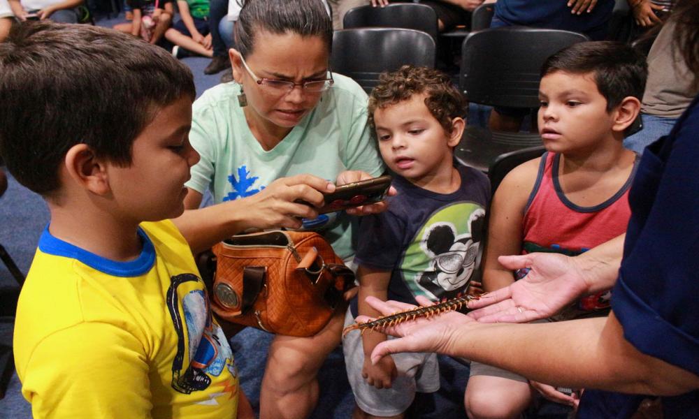 Documenta investigador del CUCosta nueva especie de ciempiés