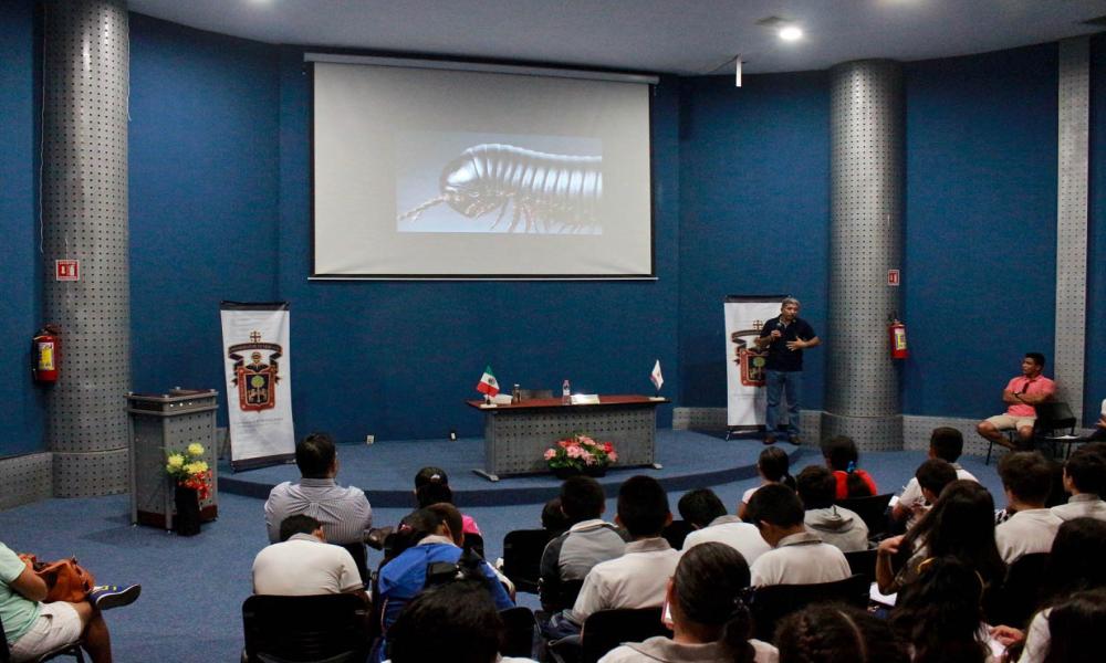 Documenta investigador del CUCosta nueva especie de ciempiés