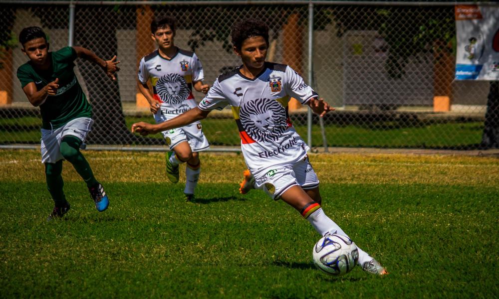 Leones Negros CUC lanza nueva convocatoria para visorias