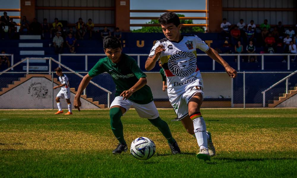 Leones Negros CUC lanza nueva convocatoria para visorias