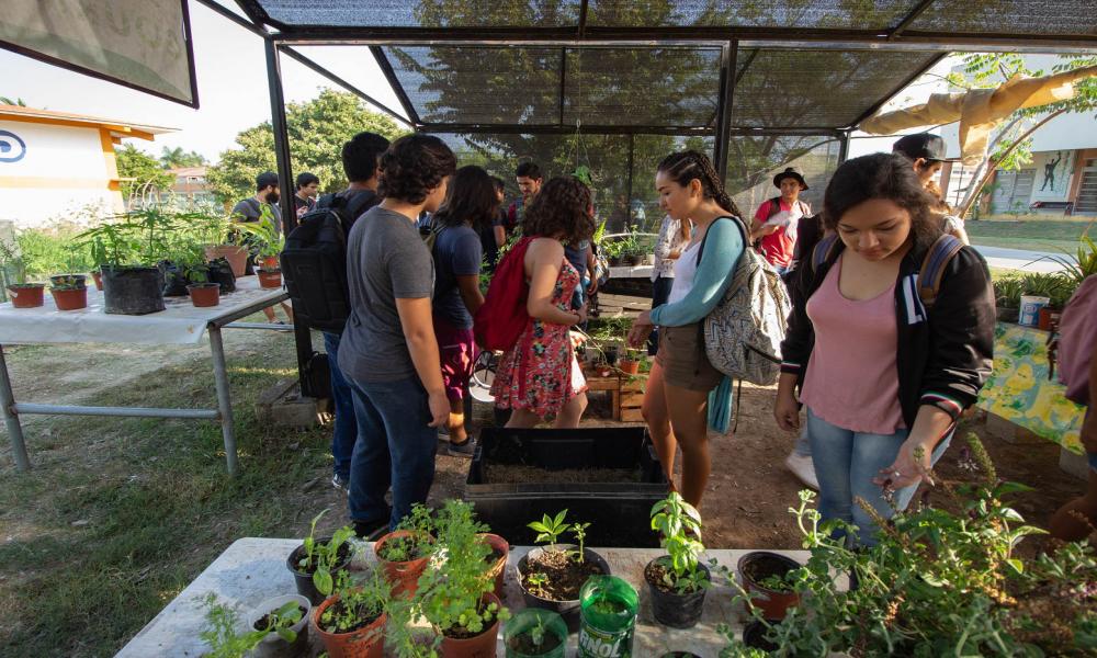 Inauguran huerto orgánico “Jardín Gourmet” en CUCosta
