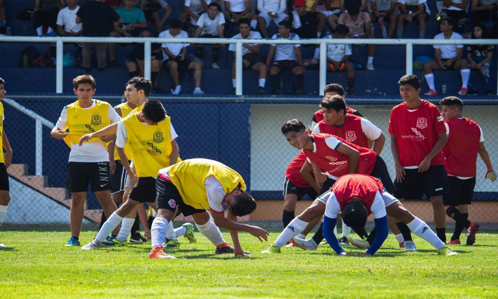 Las visorías gratuitas continúan este viernes 17 de agosto y están abiertas a niños y jóvenes de Puerto Vallarta y Bahía de Banderas Idioma Español El Centro de Formación Deportiva (CEF-UDG) Leones Negros CUC abrió este jueves su primera de dos jornadas de visorías gratuitas para niños y adolescentes de Puerto Vallarta y la región que aspiren a integrarse a la estructura del futbol profesional de los Leones Negros de la Universidad de Guadalajara (UdeG).  La tercera convocatoria para las visorías del equipo