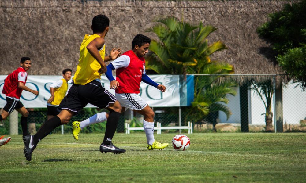 Las visorías gratuitas continúan este viernes 17 de agosto y están abiertas a niños y jóvenes de Puerto Vallarta y Bahía de Banderas Idioma Español El Centro de Formación Deportiva (CEF-UDG) Leones Negros CUC abrió este jueves su primera de dos jornadas de visorías gratuitas para niños y adolescentes de Puerto Vallarta y la región que aspiren a integrarse a la estructura del futbol profesional de los Leones Negros de la Universidad de Guadalajara (UdeG).  La tercera convocatoria para las visorías del equipo