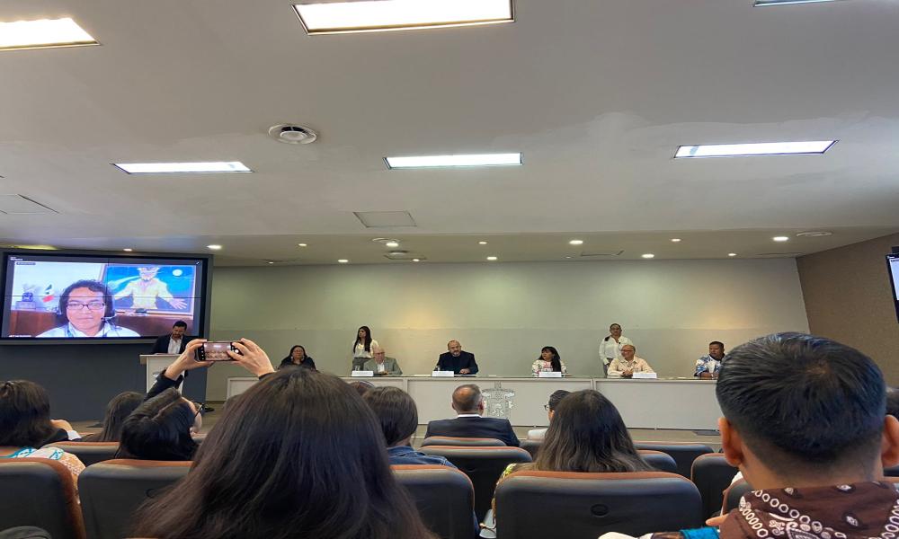 Participa CUCosta en Consulta a Estudiantes de Pueblos Originarios, para el Diseño de Política Lingüística de la UDG