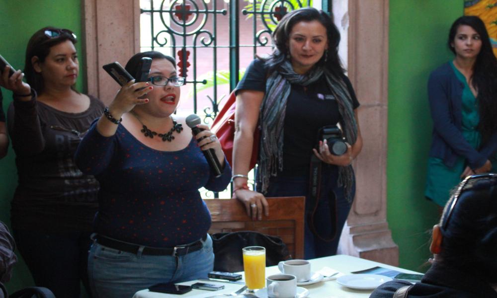 Convoca CUCosta a debate público sobre protección de la montaña de Puerto Vallarta.