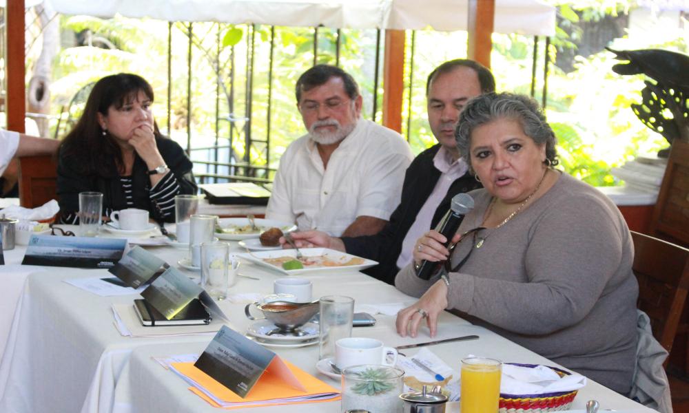 Convoca CUCosta a debate público sobre protección de la montaña de Puerto Vallarta.