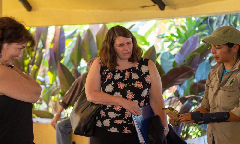 Uniendo Lazos Diplomáticos