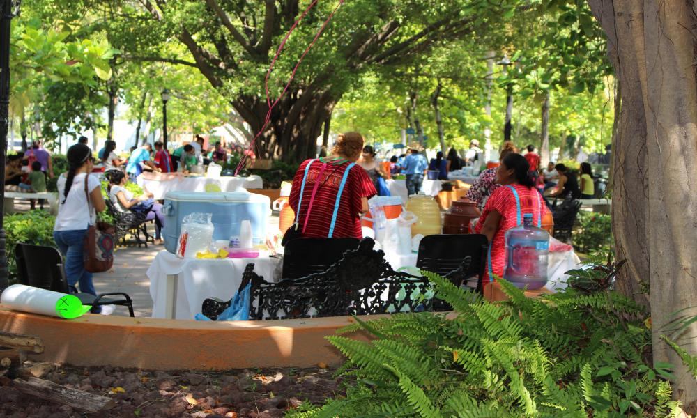 Las raíces indígenas de México se apropian del CUCosta