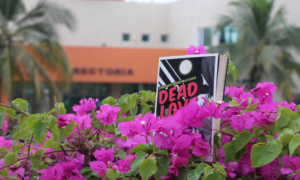 Lanza CUCosta campaña de fomento a lectura “Cazadores de libros”