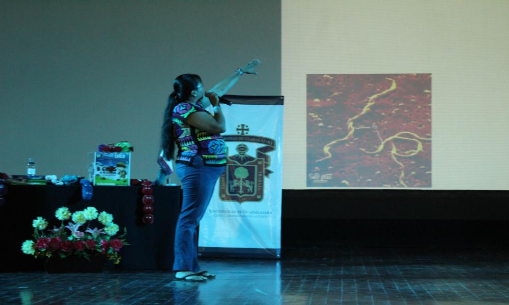 Bacterias, organismos de vital importancia para la vida