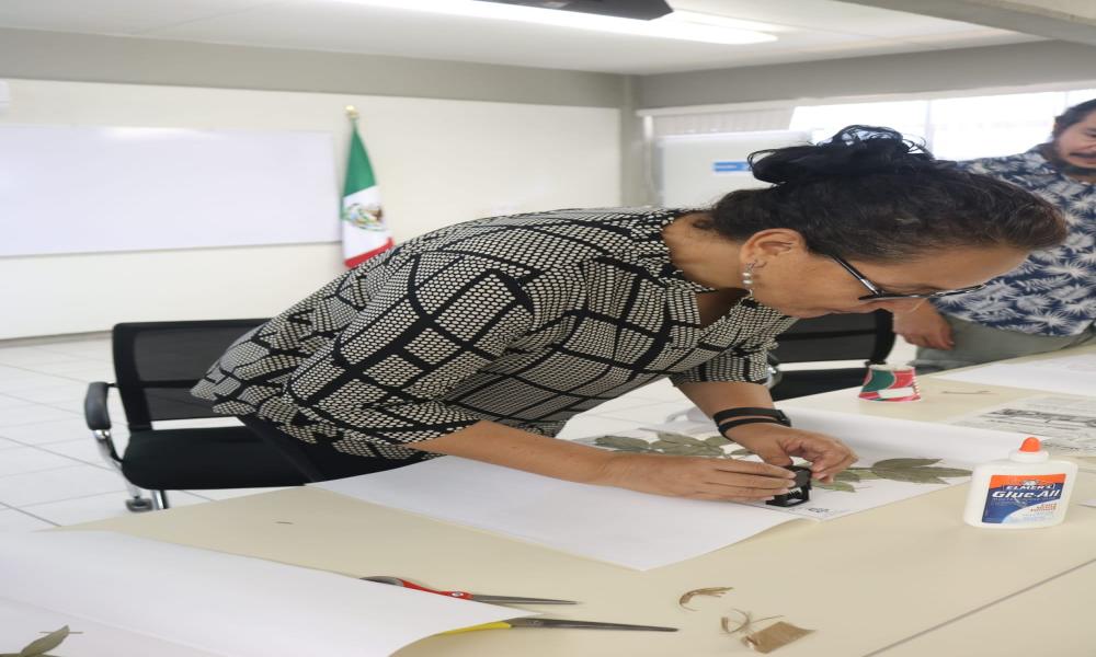 Herbario PV del Centro Universitario de la Costa: apoyo a la docencia y educación ambiental en la región de Bahía de Banderas, Jalisco-Nayarit