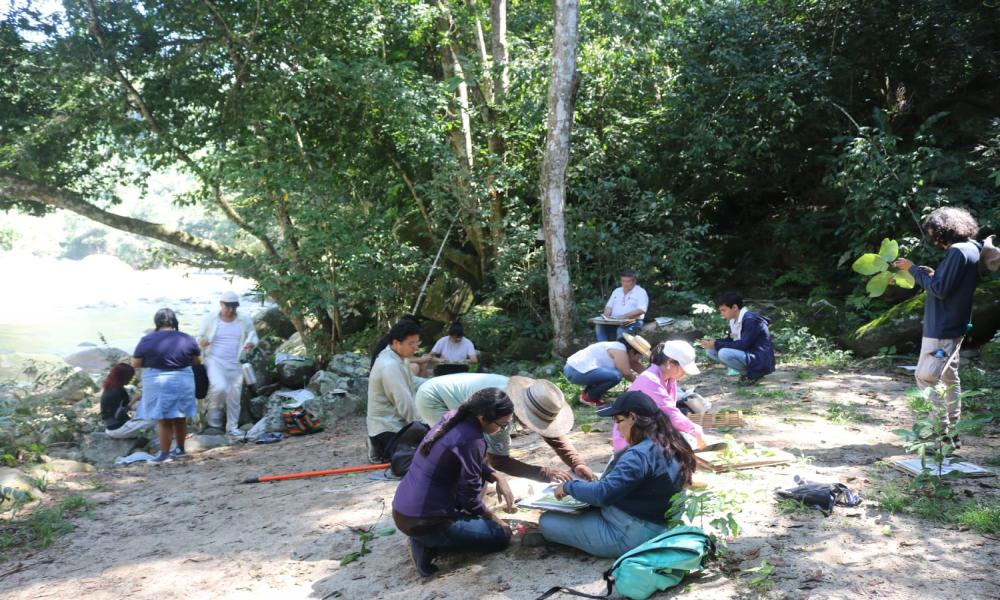 Herbario PV del Centro Universitario de la Costa: apoyo a la docencia y educación ambiental en la región de Bahía de Banderas, Jalisco-Nayarit