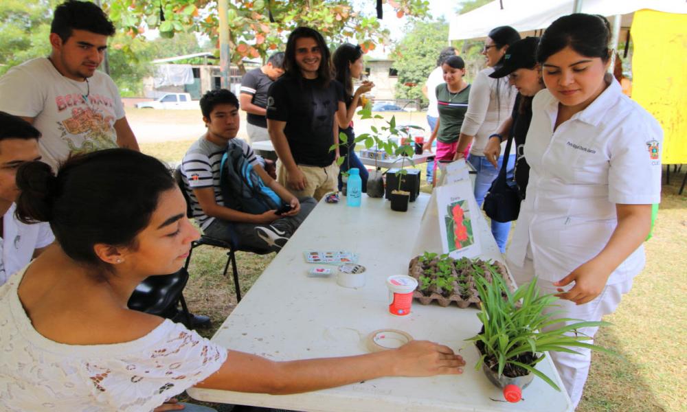 Familias Vulnerables de Volcanes Fueron Beneficiadas por “Brigadas Universitarias” del CUCosta