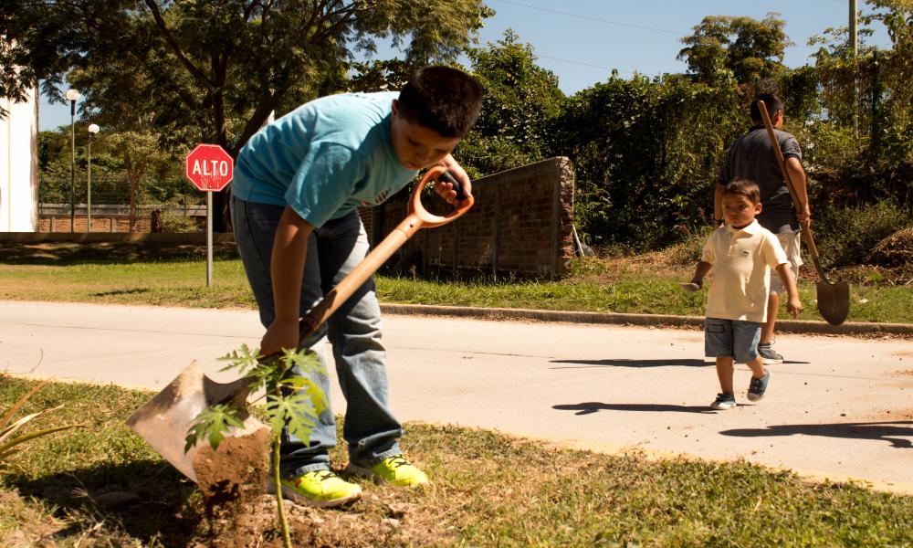 Sábados en la Ciencia La Diversidad Marina