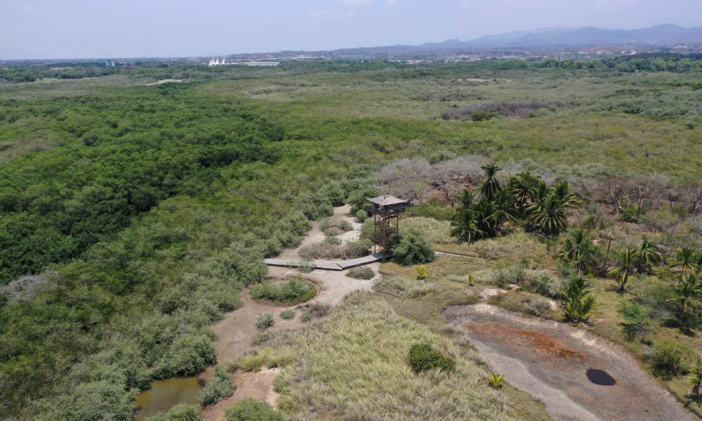 “El Proceso del Estero “El Salado” Fue Gratificante” Doctor Jorge Téllez