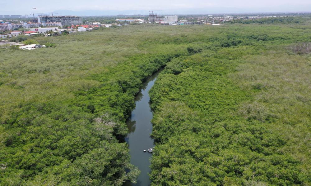 “El Proceso del Estero “El Salado” Fue Gratificante” Doctor Jorge Téllez