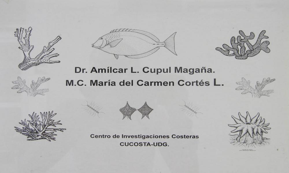 Investigadores del CUCosta-UdeG, Obtienen 2do.Lugar en Premio “Latinoamérica Verde 2019”