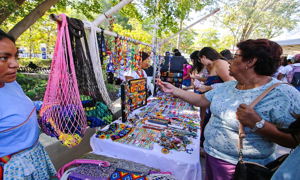 En el CUCosta Inauguran Primera Feria de Comunidades Indígenas “De la Raíz a la Flor”