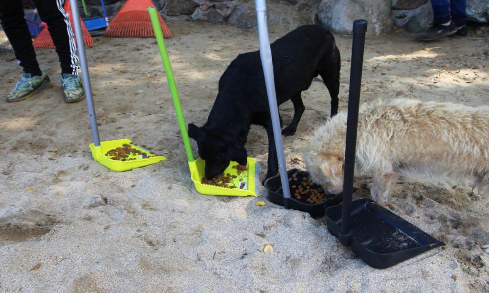 “Brigadas Universitarias “del CUCosta, llevó ayuda a familias del poblado de Pizota
