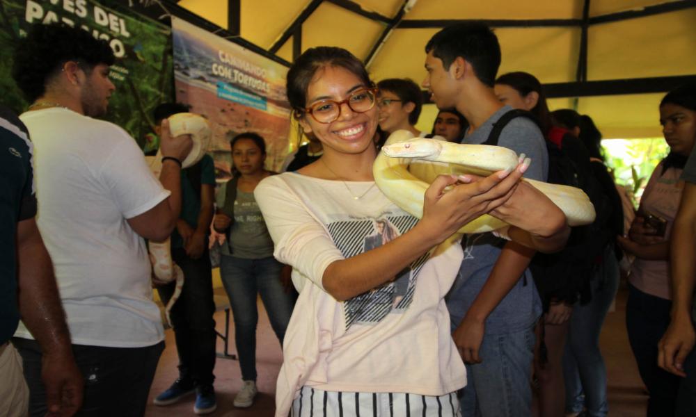 Agosto mes del cocodrilo en el CUCosta