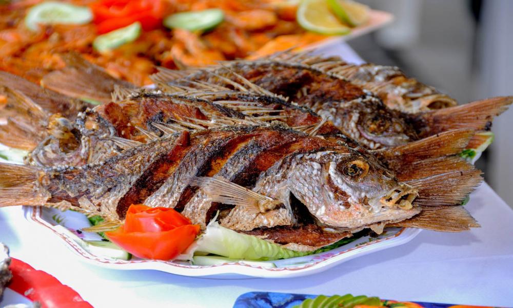 “Sí las Vedas no se Respeten Reducirá la Población de Organismos Marinos” Investigador del CUCosta Doctor Badillo Zapata