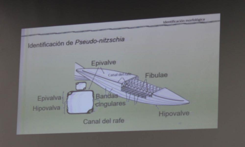 Arrancó V Congreso Nacional de la SOMEFAN en CUCOSTA