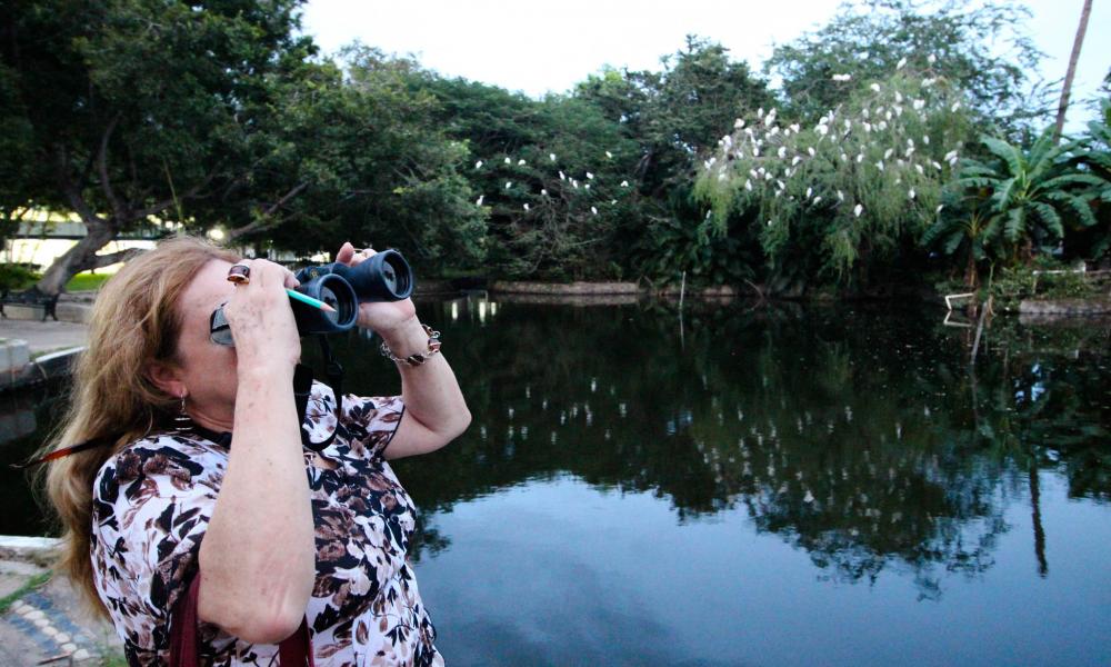 “Los Pesticidas, Riesgo Latente para Aves Acuáticas” Doctora Amparán Salido