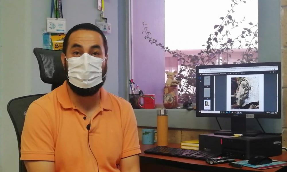 Registran investigadores del CUCosta nueva especie de reptil en Isla María Cleofas