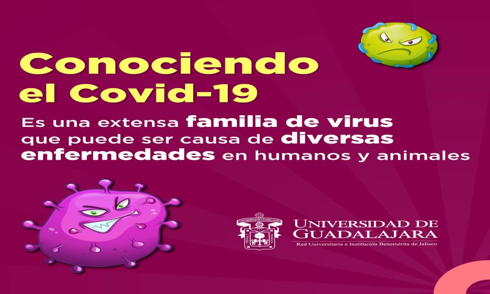 Conociendo el Covid-19