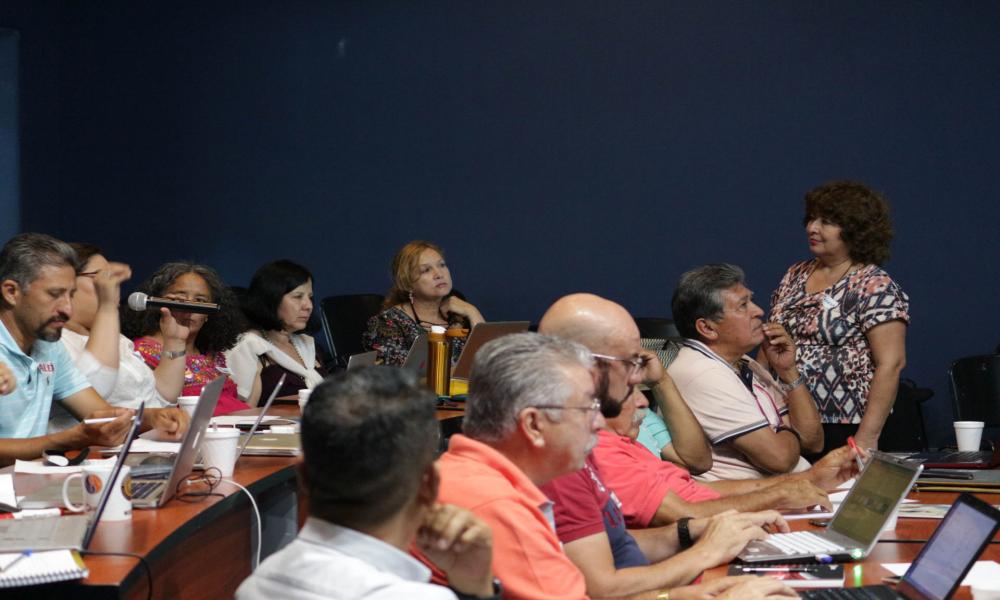 Formar y actualizar a los profesores para desarrollar las acciones y actividades necesarias en el CUCosta