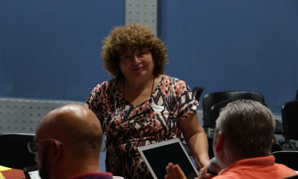 Formar y actualizar a los profesores para desarrollar las acciones y actividades necesarias en el CUCosta