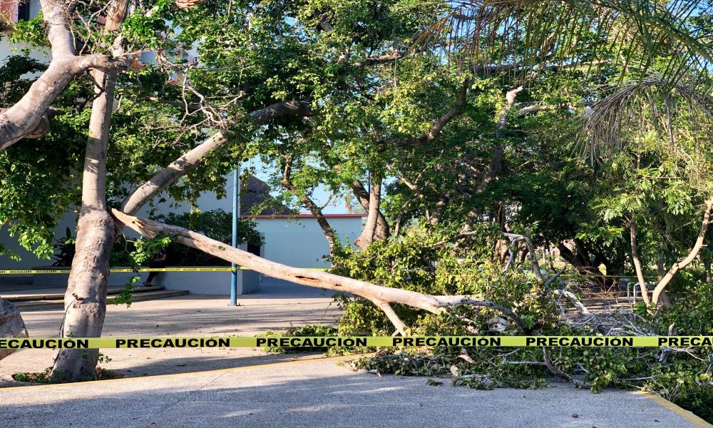 Cuantiosos daños dejó la lluvia y viento del fin de semana en el CUCosta