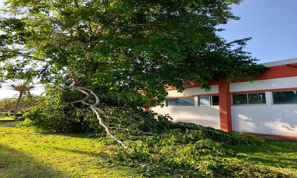 Cuantiosos daños dejó la lluvia y viento del fin de semana en el CUCosta