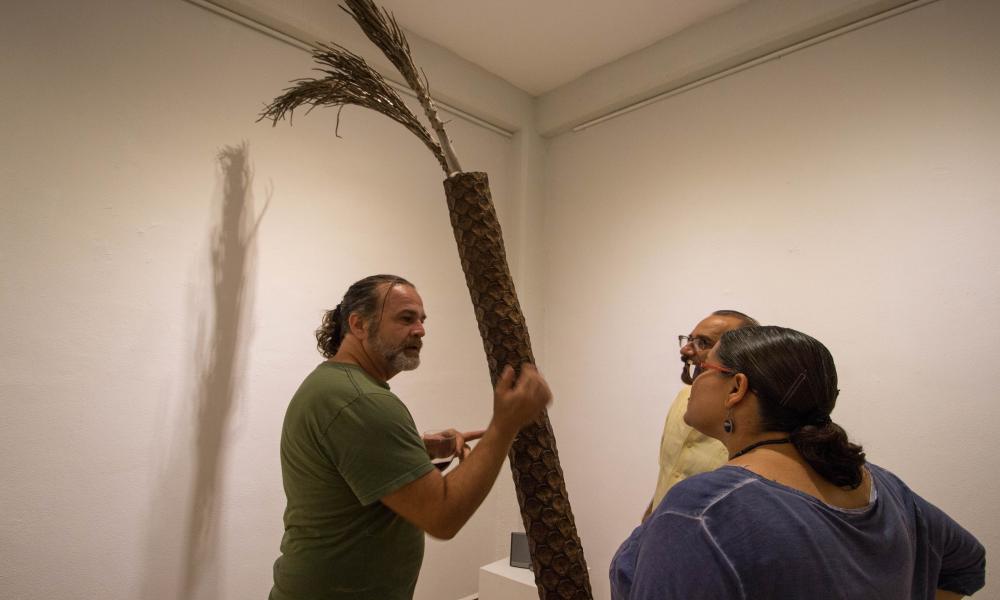 Inauguran Exposición “Symbiosis” en el Museo de arte Peter Gray